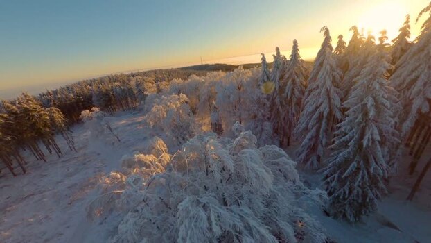 FPV aerial view of snow covered forest at sunset Germany.
