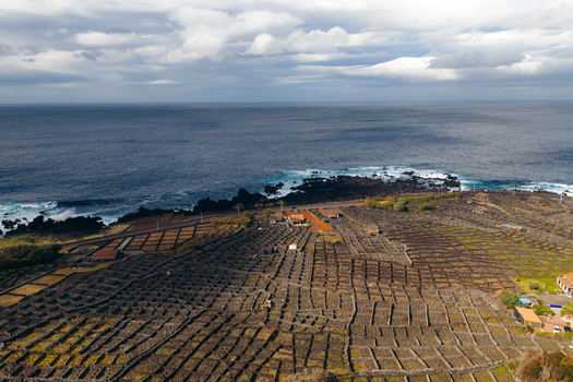 Aerial view of traditional volcanic stone walls protecting vineyards along the rocky coastline under a cloudy sky in Biscoitos Azores Portugal. Aerial view of traditional volcanic stone walls protecting vineyards along the rocky coastline under a cloudy sky in Biscoitos Azores Portugal.