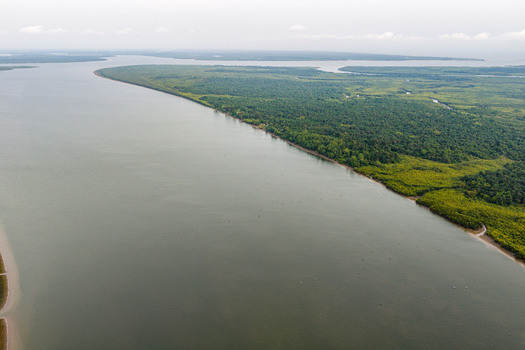 Aerial view of the wide river and dense mangrove forest along the banks in Opobo Town Rivers Nigeria. Aerial view of the wide river and dense mangrove forest along the banks in Opobo Town Rivers Nigeria.