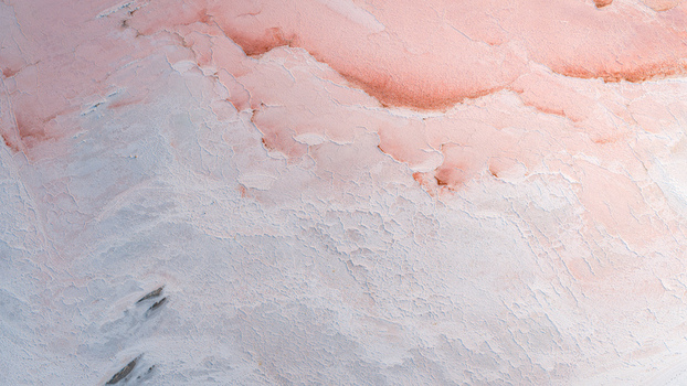 Aerial view of cracked pink salt crust and pale mineral layers forming an intricate organic pattern in France. Aerial view of cracked pink salt crust and pale mineral layers forming an intricate organic pattern in France.