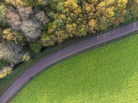Aerial view of a road cutting between a vibrant green field and a forest with autumn colors Diever Netherlands. Aerial view of a road cutting between a vibrant green field and a forest with autumn colors Diever Netherlands.