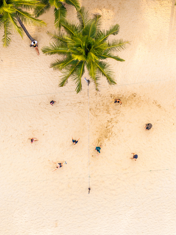 Aerial view of people playing volleyball on a sandy beach under palm trees in Vietnam. Aerial view of people playing volleyball on a sandy beach under palm trees in Vietnam.