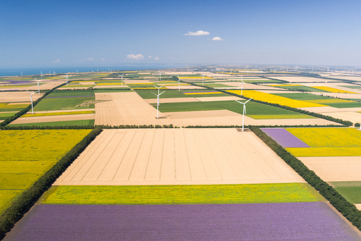 Aerial view of wind turbines standing amidst vibrant agricultural fields with yellow and purple crops under a clear blue sky in Saints Constantine and Helena Varna Bulgaria.