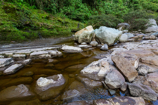 View of the Estrecho del Rio Magdalena featuring large boulders and clear water flowing through a narrow gorge surrounded by lush green vegetation in San Agustin Huila Colombia.