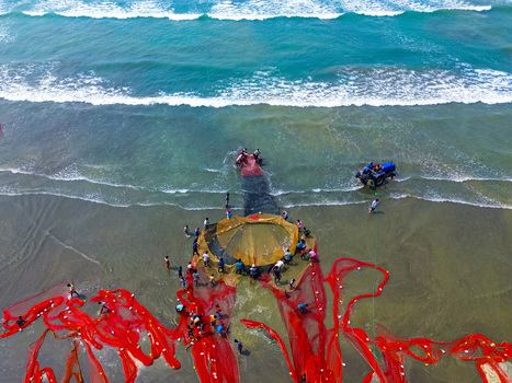 Cox s Bazar Bangladesh 10 March 2026 Aerial view of fishermen hauling in vibrant red nets against the turquoise sea a scene of bustling activity on the sandy shore.