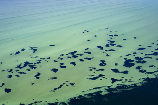 Aerial view of the turquoise waters and sandbanks of Shark Bay showcasing intricate ocean patterns and shallow coastal formations in Shire of Shark Bay Western Australia Australia. Aerial view of the turquoise waters and sandbanks of Shark Bay showcasing intricate ocean patterns and shallow coastal formations in Shire of Shark Bay Western Australia Australia.