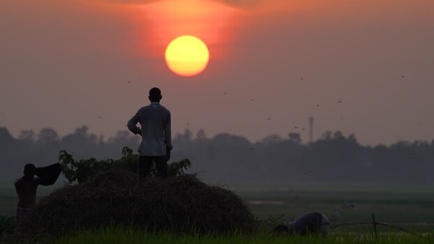 View of a man silhouetted against a sunset in Bogura Bangladesh. View of a man silhouetted against a sunset in Bogura Bangladesh.