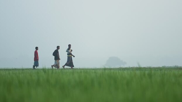 View of three men walking through a misty field in Bogura Bangladesh. View of three men walking through a misty field in Bogura Bangladesh.