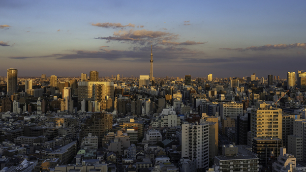 Aerial view of Tokyo Skytree piercing the skyline amidst a tapestry of buildings bathed in the warm hues of sunset Bunkyo City Tokyo Japan. Aerial view of Tokyo Skytree piercing the skyline amidst a tapestry of buildings bathed in the warm hues of sunset Bunkyo City Tokyo Japan.