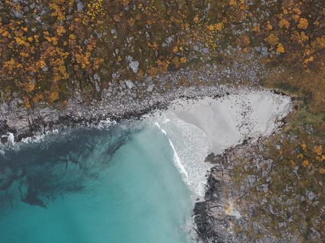 Aerial view of Lofoten coastline featuring a secluded sandy beach with turquoise water surrounded by rugged rocky cliffs and autumn colored vegetation Svolvaer Nordland Norway.
