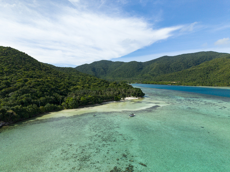 Aerial view of lush green hills cascading into the turquoise waters of Bobby Beach Karimunjawa Central Java Indonesia.