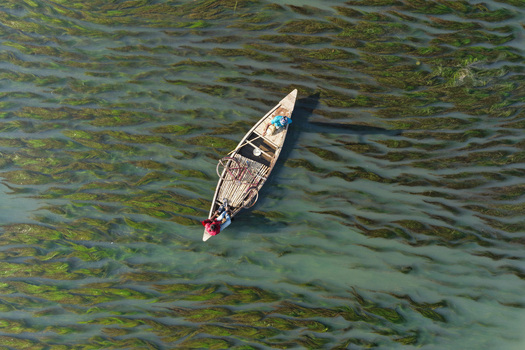 Aerial view of a wooden boat carrying two people on a river filled with aquatic vegetation in Joypurhat Rajshahi Division Bangladesh. Aerial view of a wooden boat carrying two people on a river filled with aquatic vegetation in Joypurhat Rajshahi Division Bangladesh.