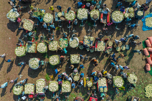 Aerial view of a busy outdoor market with traders and workers sorting fresh produce from carts and baskets creating a vibrant pattern of activity in Bogura Rajshahi Division Bangladesh. Aerial view of a busy outdoor market with traders and workers sorting fresh produce from carts and baskets creating a vibrant pattern of activity in Bogura Rajshahi Division Bangladesh.