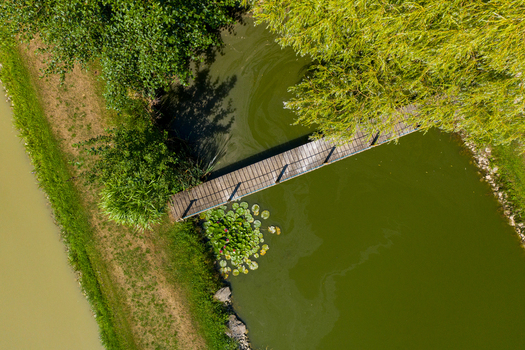Aerial view of a wooden pier over green pond water with lily pads and lush trees in Herzogenaurach Bayern Germany. Aerial view of a wooden pier over green pond water with lily pads and lush trees in Herzogenaurach Bayern Germany.