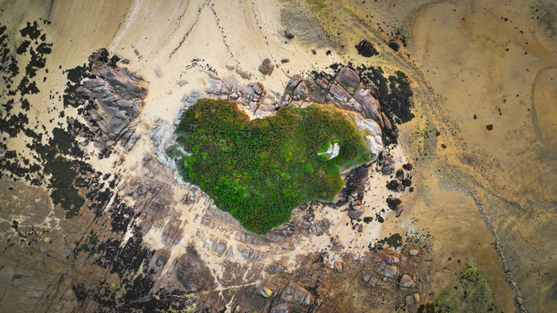 Aerial view of a heart shaped island covered in green vegetation surrounded by rocky terrain and sandy beaches Carantec Finistere France. Aerial view of a heart shaped island covered in green vegetation surrounded by rocky terrain and sandy beaches Carantec Finistere France.