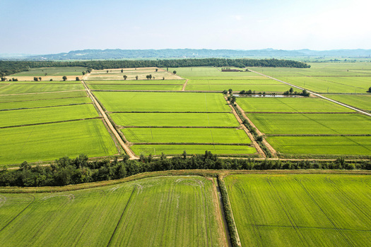 Aerial view of the lush green rice fields surrounding the historic Abbazia di Lucedio featuring irrigation channels and dirt paths in the rural landscape of Trino Piemonte Italy. Aerial view of the lush green rice fields surrounding the historic Abbazia di Lucedio featuring irrigation channels and dirt paths in the rural landscape of Trino Piemonte Italy.