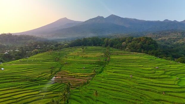 Aerial view of Senaru Rice Fields and Mount Rinjani Indonesia. Aerial view of Senaru Rice Fields and Mount Rinjani Indonesia.