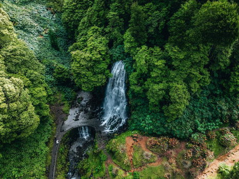 Aerial view of a stunning waterfall cascading down into a pool surrounded by lush green forest Achada Açores Portugal. Aerial view of a stunning waterfall cascading down into a pool surrounded by lush green forest Achada Açores Portugal.