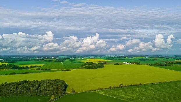 Aerial view of green agricultural fields and forests Latvia. Aerial view of green agricultural fields and forests Latvia.