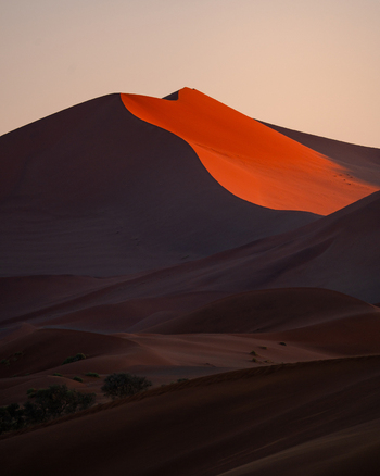 View of the vibrant orange hues of the dune contrasting with the deep shadows creating a surreal otherworldly landscape Sossusvle Hardap Region Namibia. View of the vibrant orange hues of the dune contrasting with the deep shadows creating a surreal otherworldly landscape Sossusvle Hardap Region Namibia.