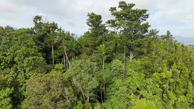 Aerial view of Piaynemo rainforest canopy in Indonesia. Aerial view of Piaynemo rainforest canopy in Indonesia.