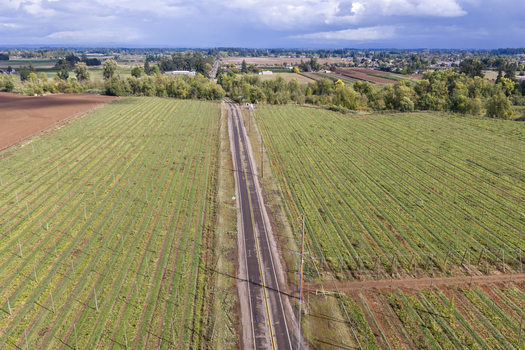 Aerial view of a hop farm with long rows of trellised plants stretching across the fields bisected by a rural road under a cloudy sky in Woodburn Oregon United States. Aerial view of a hop farm with long rows of trellised plants stretching across the fields bisected by a rural road under a cloudy sky in Woodburn Oregon United States.