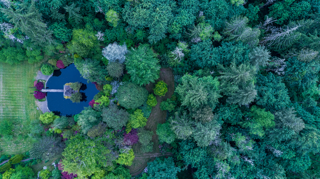 Aerial view of a small dark pond with a wooden gazebo surrounded by lush green forest and colorful foliage in Portland Oregon United States. Aerial view of a small dark pond with a wooden gazebo surrounded by lush green forest and colorful foliage in Portland Oregon United States.