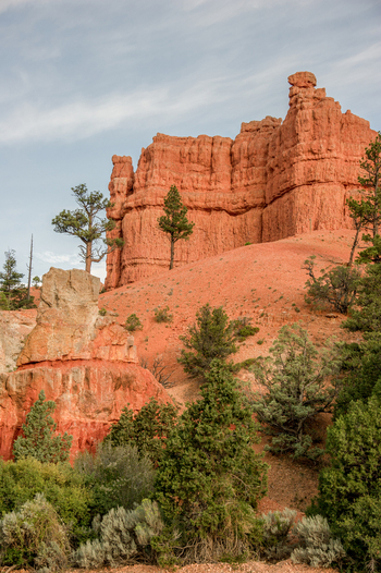View of the iconic red rock hoodoos and pine trees in Bryce Canyon National Park Utah United States.