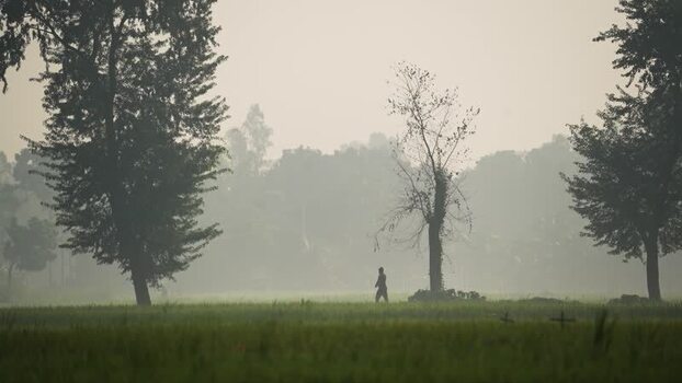 View of a person walking in a misty field in Bangladesh.