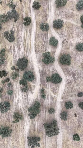 Aerial view of dehesa landscape in Navalmoral de la Mata Spain.