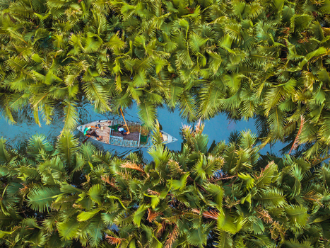 Aerial view of a small boat with people navigating through a narrow waterway surrounded by lush green palm trees in Vietnam. Aerial view of a small boat with people navigating through a narrow waterway surrounded by lush green palm trees in Vietnam.