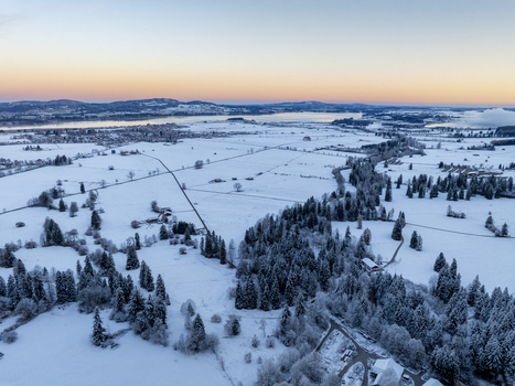 Aerial view of a snow covered landscape with scattered trees under the pastel sky Schwangau Bayern Germany.