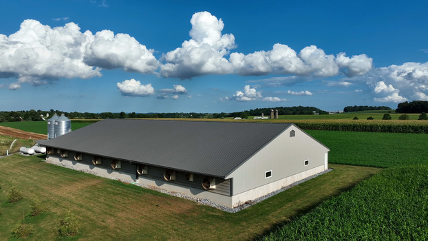 Aerial view of Kilmer Road farmland featuring a modern poultry house surrounded by green cornfields and rolling hills under a blue sky in Rapho Township Pennsylvania United States. Aerial view of Kilmer Road farmland featuring a modern poultry house surrounded by green cornfields and rolling hills under a blue sky in Rapho Township Pennsylvania United States.