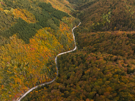Aerial view of a winding road cutting through a dense forest with vibrant autumn foliage in shades of orange yellow and green Bulgaria. Aerial view of a winding road cutting through a dense forest with vibrant autumn foliage in shades of orange yellow and green Bulgaria.