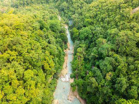 Aerial view of the turquoise river at Kawasan Falls flowing through a dense tropical jungle with a small bridge in Badian Central Visayas Philippines.