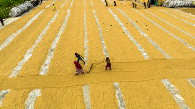 Ashuganj Bangladesh 05 July 2022 Aerial view of workers spreading harvested rice to dry on a large concrete surface with long yellow strips and people working with rakes.
