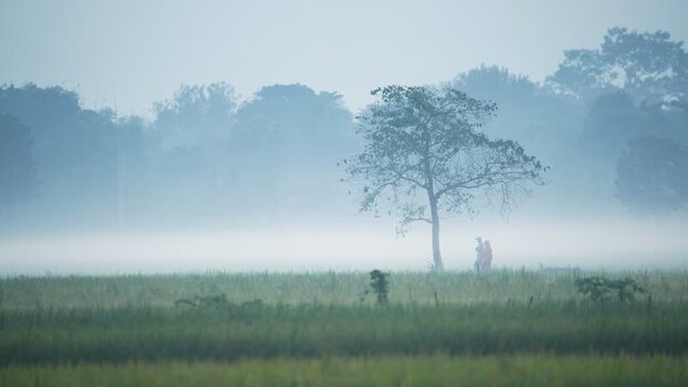 View of people walking in a misty field in Bogura Bangladesh.