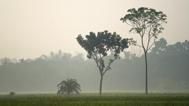 View of a misty rural landscape with trees and fields Bangladesh. View of a misty rural landscape with trees and fields Bangladesh.