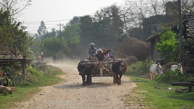 View of men riding an ox drawn cart on a dusty rural road Nepal.