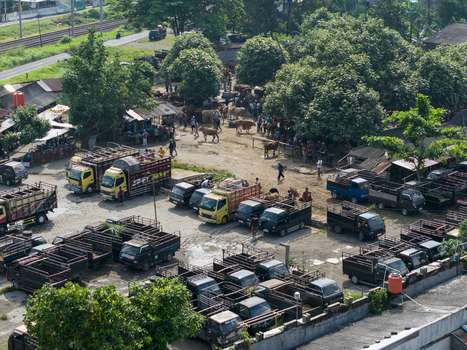 Kecamatan Prambanan Indonesia 04 May 2026 Aerial view of the Animal Market Prambanan with trucks parked near cattle pens and people gathered under lush green trees.