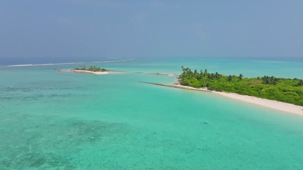 Aerial view of island with trees and beach Maldives.
