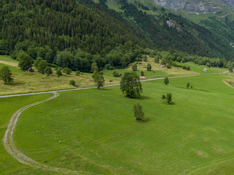 Aerial view of a winding road through lush green meadows and scattered trees in the valley of Gadmen Switzerland.