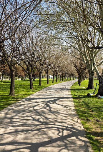 View of a paved walkway through a park lined with leafless trees casting long shadows on a sunny day Sariyer Istanbul Turkiye.