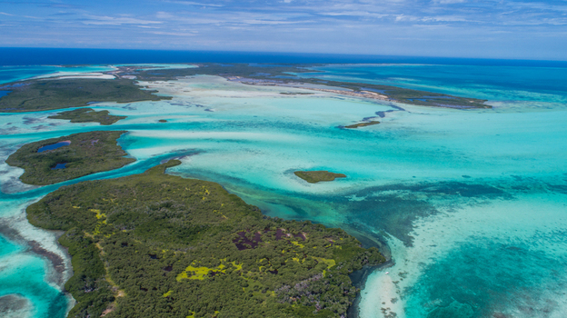 Aerial view of Los Roques archipelago featuring vibrant turquoise waters coral reefs and lush mangrove islands under a clear blue sky in Los Roques Dependencias Federale Venezuela. Aerial view of Los Roques archipelago featuring vibrant turquoise waters coral reefs and lush mangrove islands under a clear blue sky in Los Roques Dependencias Federale Venezuela.