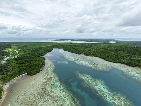 Aerial view of the vivid turquoise waters meeting the emerald green mangrove forests under a cloudy sky Karimunjawa Central Java Indonesia.