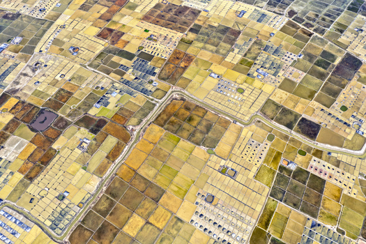 Aerial view of a patchwork of golden fields divided by narrow waterways create a stunning geometric tapestry in Cox s Bazar Chittagong Division Bangladesh. Aerial view of a patchwork of golden fields divided by narrow waterways create a stunning geometric tapestry in Cox s Bazar Chittagong Division Bangladesh.