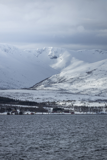 View of the Tromso landscape featuring snow capped mountains rising above a calm fjord with small red houses along the shoreline under an overcast sky in Tromso Troms Norway.