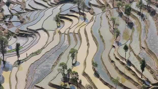 Aerial view of rice terraces in Samaba China.
