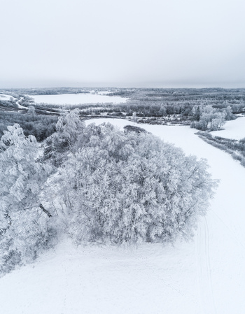 Aerial view of a snow covered landscape with frost covered trees in a winter forest in Latvia. Aerial view of a snow covered landscape with frost covered trees in a winter forest in Latvia.