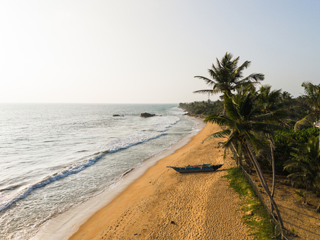 Aerial view of a sandy coastline with palm trees and a traditional wooden boat on the shore in Galle Southern Province Sri Lanka.